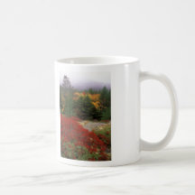Acadia National Park Foliage Coffee Mugs
