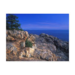 Acadia National Park Great Head View Postcards