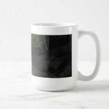 Acadia National Park Trail Coffee Mugs