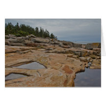 Acadia NP : Péninsule de Schoodic Cartes De Vœux