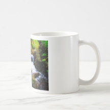 acadia park 2 coffee mugs