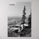 Acadia Poster - 3
