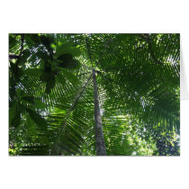 Acai palm tree cards