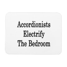 Accordionists Electrify The Bedroom Flexible Magnets