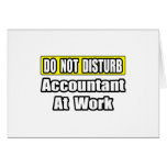 Accountant At Work