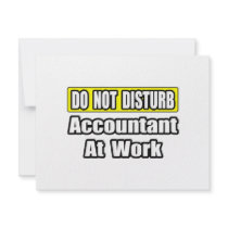 Accountant At Work