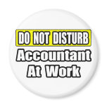 Accountant At Work