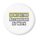Accountant At Work