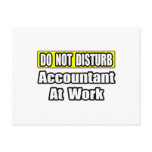 Accountant At Work
