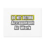 Accountant At Work