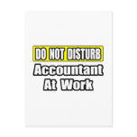 Accountant At Work