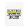 Accountant At Work
