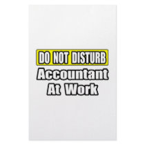 Accountant At Work