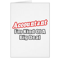 Accountant...Big Deal