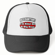 Accountant...Big Deal