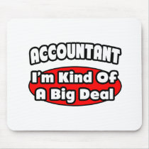 Accountant...Big Deal