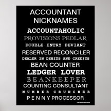 Accountant Nicknames Motivational Poster