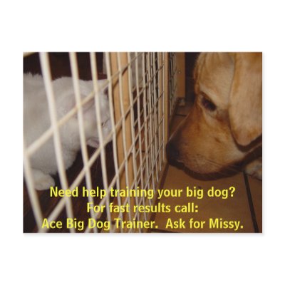 Ace Big Dog Trainer by myrtieshuman