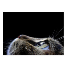 ACEO MACRO PHOTOGRAPHY TRADING CARDS BUSINESS CARD