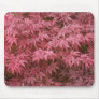 acer palmatum leaves mousepad