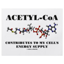 Acetyl-CoA Contributes To My Cell's Energy Supply