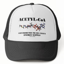 Acetyl-CoA Contributes To My Cell's Energy Supply