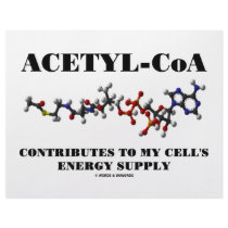 Acetyl-CoA Contributes To My Cell's Energy Supply