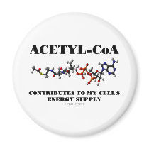 Acetyl-CoA Contributes To My Cell's Energy Supply