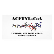 Acetyl-CoA Contributes To My Cell's Energy Supply