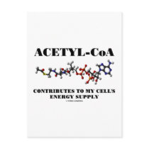 Acetyl-CoA Contributes To My Cell's Energy Supply
