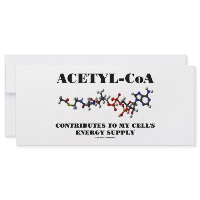 Acetyl-CoA Contributes To My Cell's Energy Supply by wordsunwords