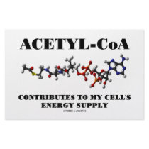 Acetyl-CoA Contributes To My Cell's Energy Supply