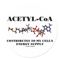 Acetyl-CoA Contributes To My Cell's Energy Supply