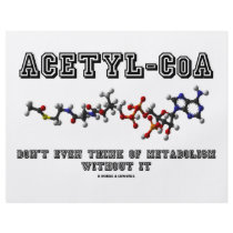 Acetyl-CoA Don't Even Think Of Metabolism Without