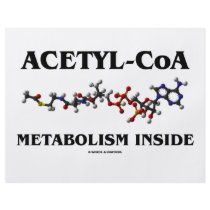 Acetyl-CoA Metabolism Inside (Chemical Molecule)