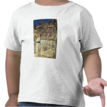 Achaemenid rock relief of King Darius I Tshirts
