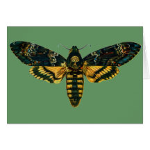 Acherontia atropos cards