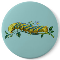 Acherontia atropos caterpillar