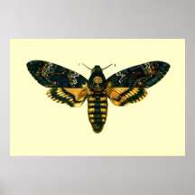Acherontia atropos poster