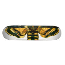 Acherontia atropos skate deck