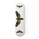 Acherontia atropos skate board deck
