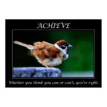 Achieve Motivational Poster posters