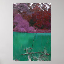 Acid River Poster