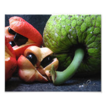 Ackee et Saltfish - plat national jamaïcain Art Photographique