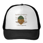 Acorn - Anybody can break the law... Mesh Hats
