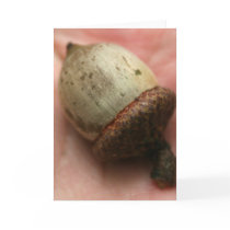 ACORN CARDS