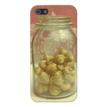 Acorn Mason Jar Pink Vintage iPhone Case iPhone 5 Case