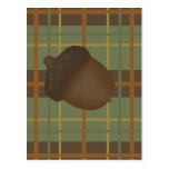 Acorn Postcard