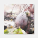 Acorn Sprout In The Early Spring Garden Fridge Magnets
