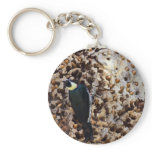 Acorn Woodpecker Keychain